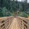 long, wooden bridge with lush greenery and a river beneath
